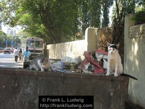 Bombay, Mumbai, India